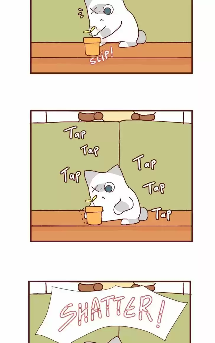 Saphie: The One-Eyed Cat 90