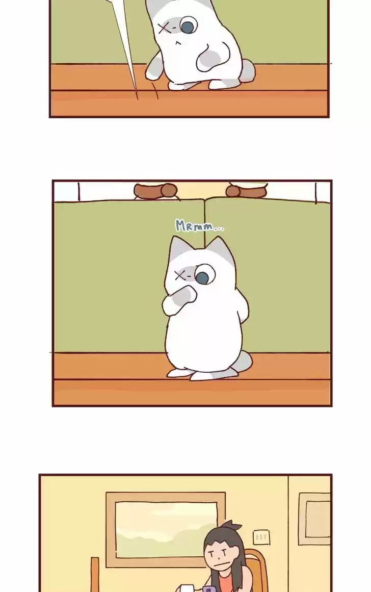 Saphie: The One-Eyed Cat 90