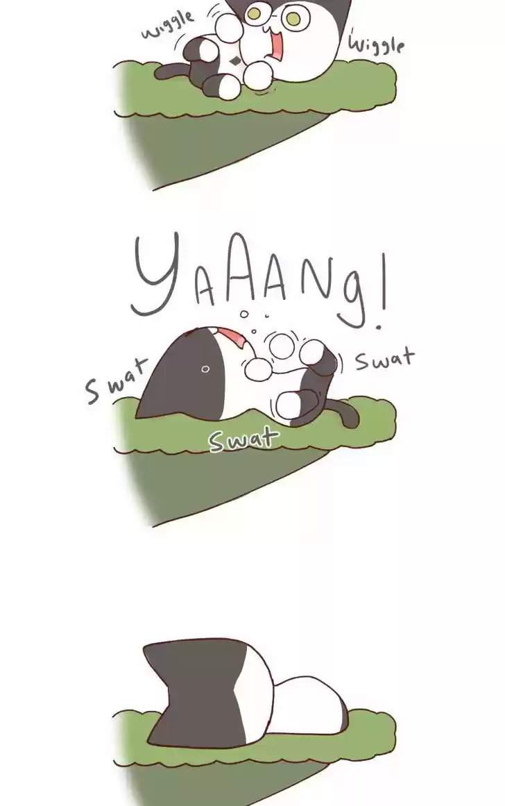 Saphie: The One-Eyed Cat 90