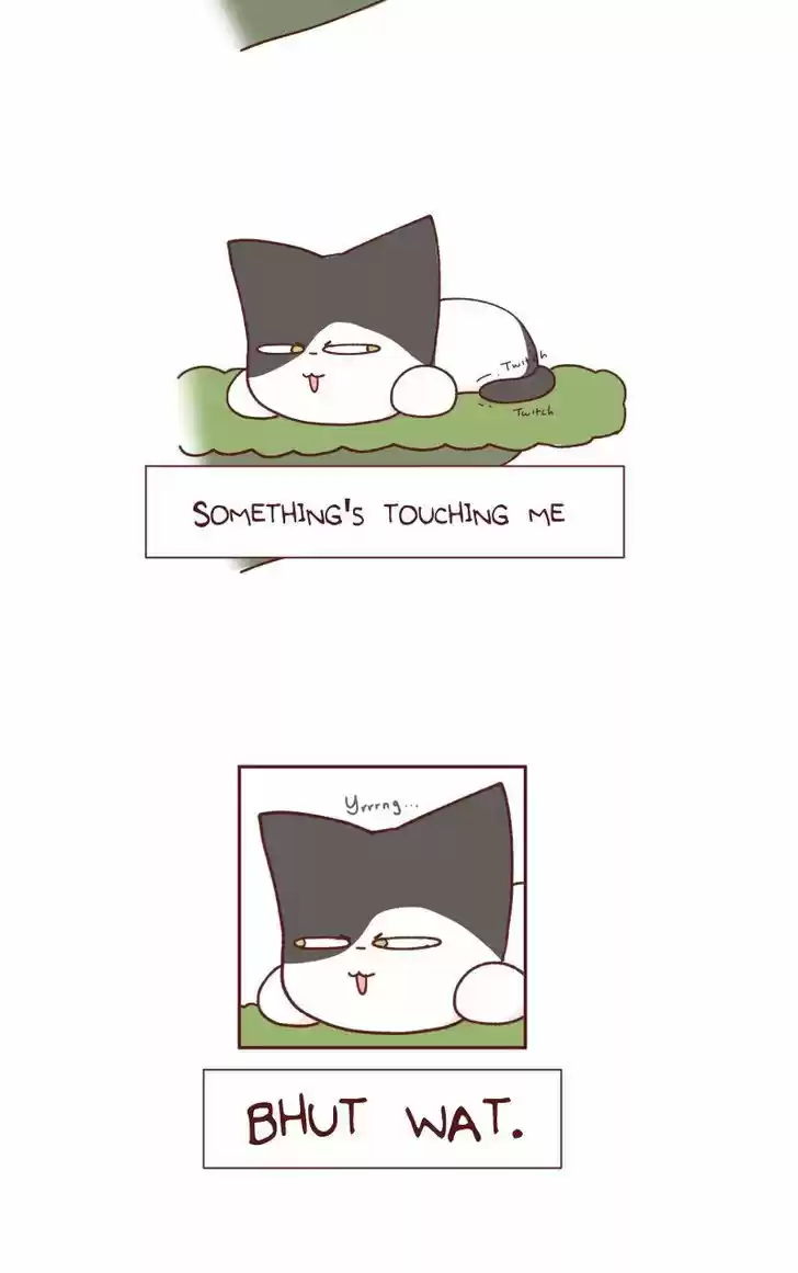 Saphie: The One-Eyed Cat 90