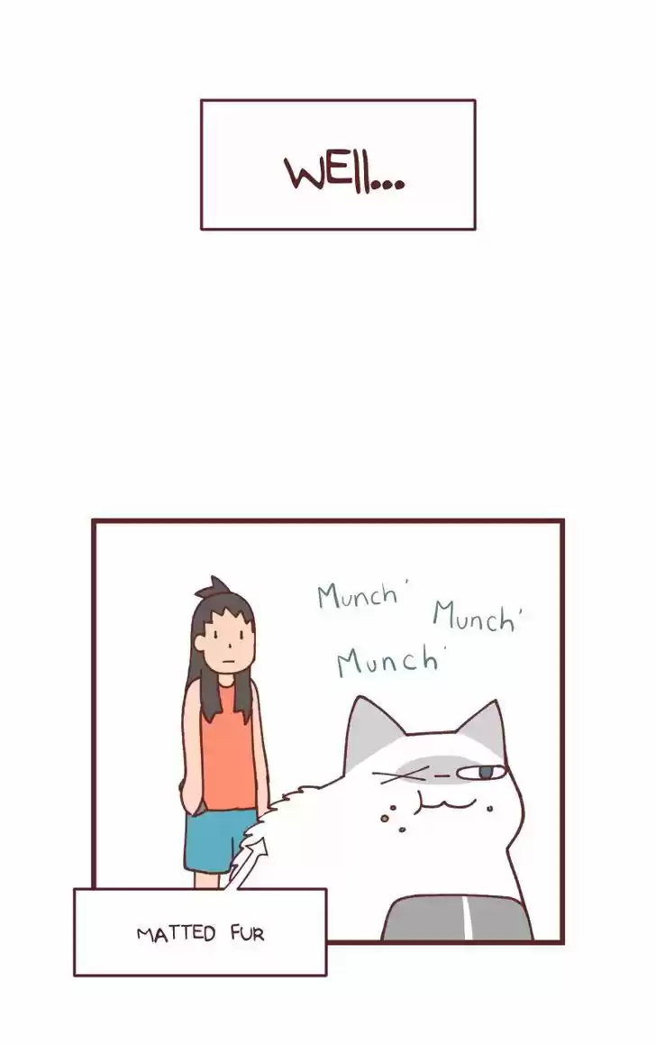 Saphie: The One-Eyed Cat 91