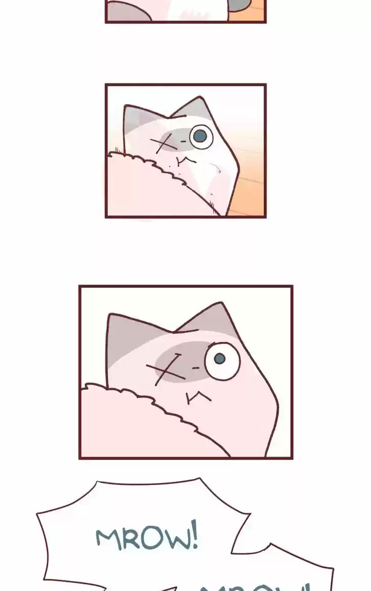 Saphie: The One-Eyed Cat 91