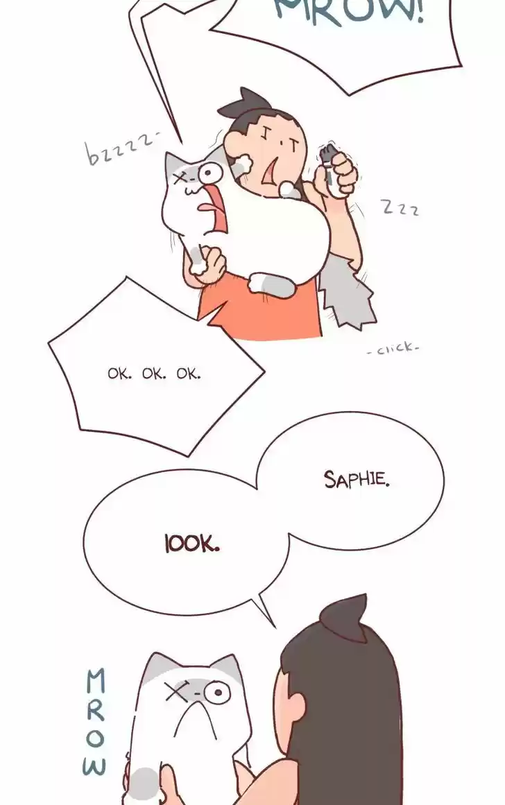 Saphie: The One-Eyed Cat 91