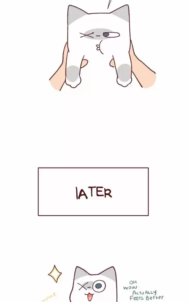 Saphie: The One-Eyed Cat 91