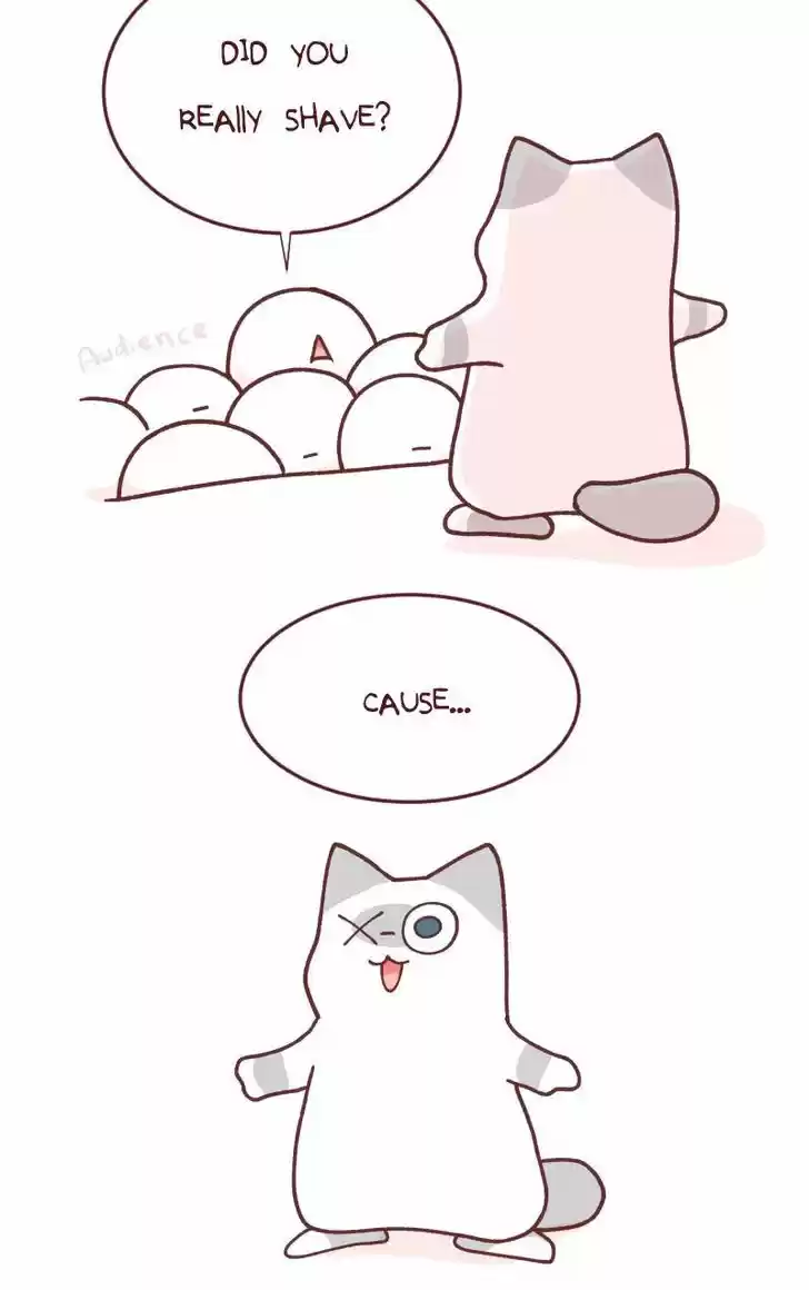 Saphie: The One-Eyed Cat 91