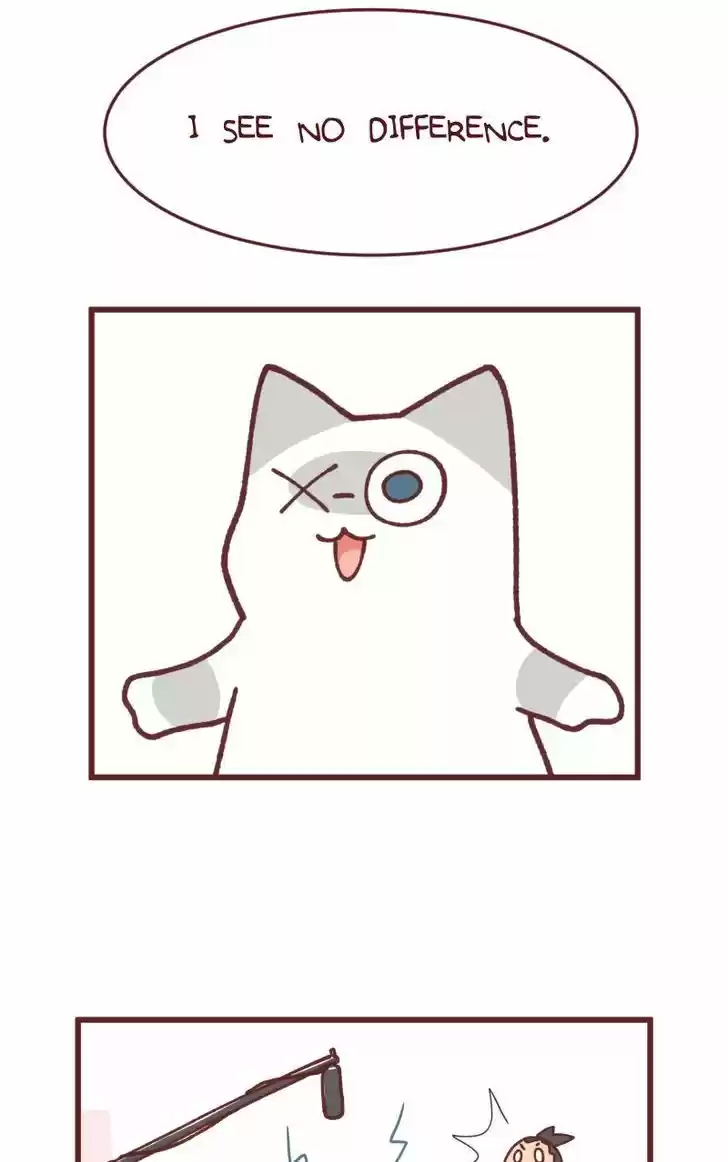 Saphie: The One-Eyed Cat 91