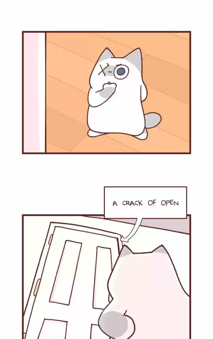 Saphie: The One-Eyed Cat 92