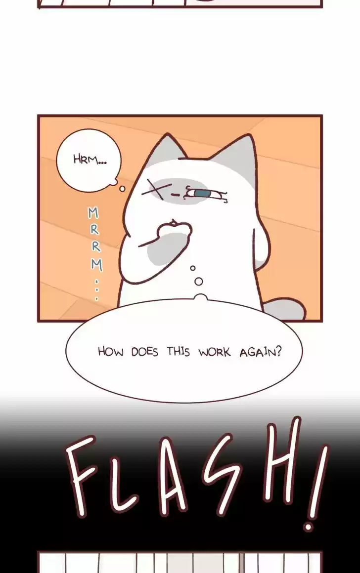 Saphie: The One-Eyed Cat 92