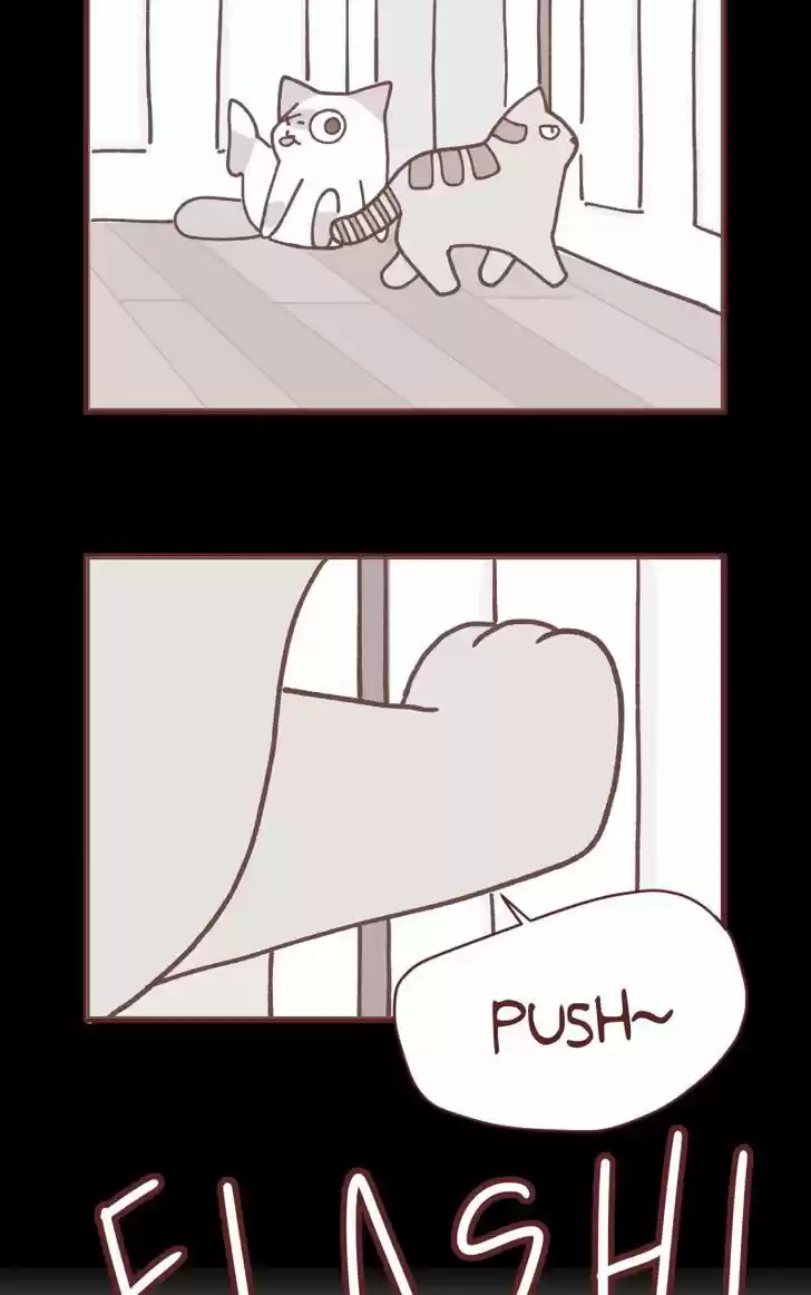 Saphie: The One-Eyed Cat 92