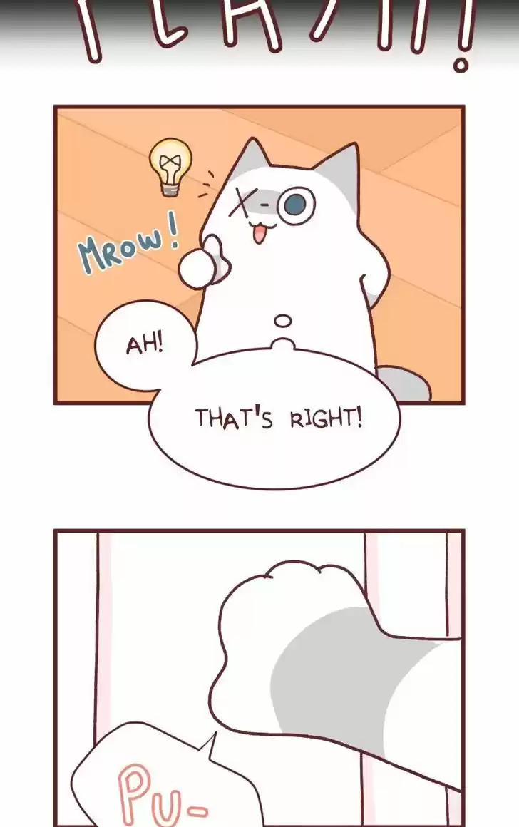 Saphie: The One-Eyed Cat 92