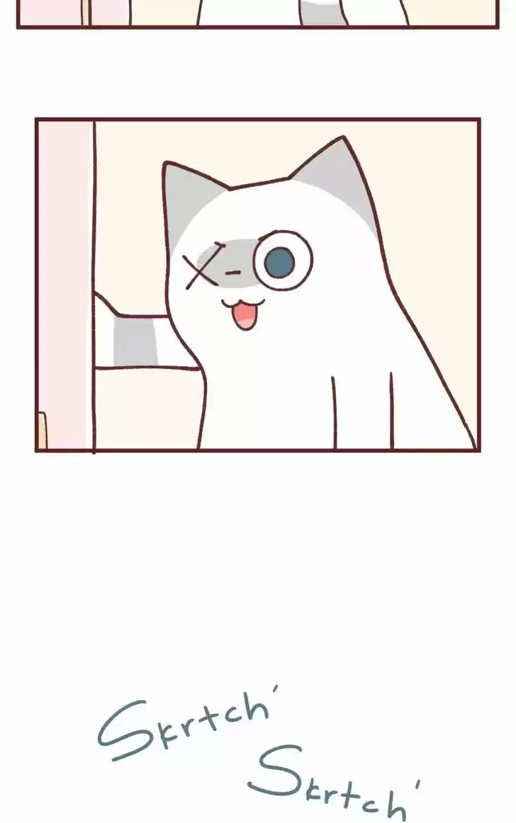 Saphie: The One-Eyed Cat 92