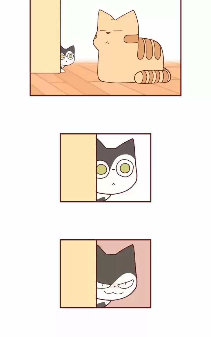 Saphie: The One-Eyed Cat 93