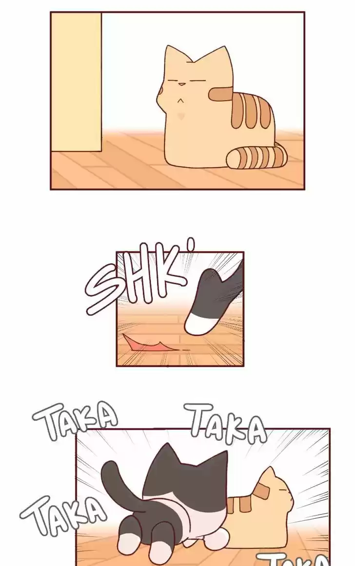 Saphie: The One-Eyed Cat 93