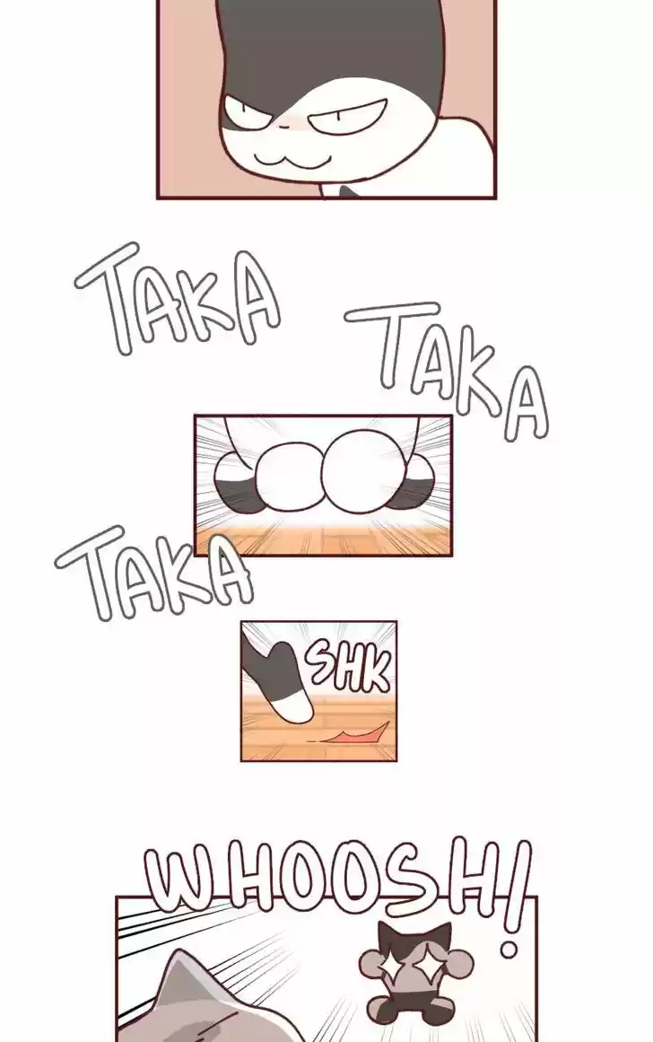 Saphie: The One-Eyed Cat 93