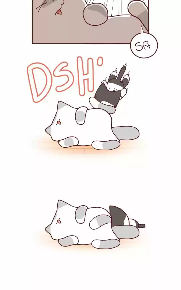 Saphie: The One-Eyed Cat 93