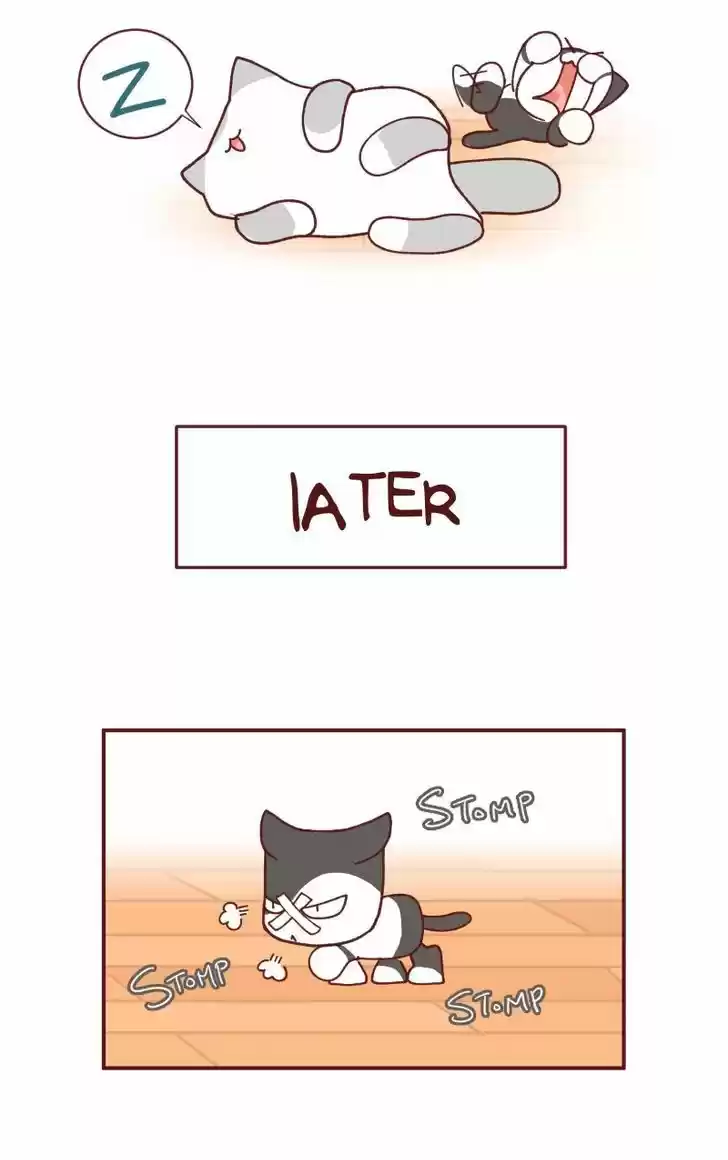 Saphie: The One-Eyed Cat 93