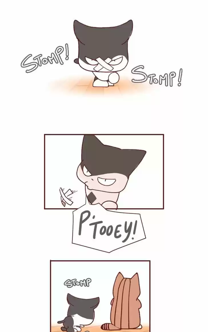 Saphie: The One-Eyed Cat 93