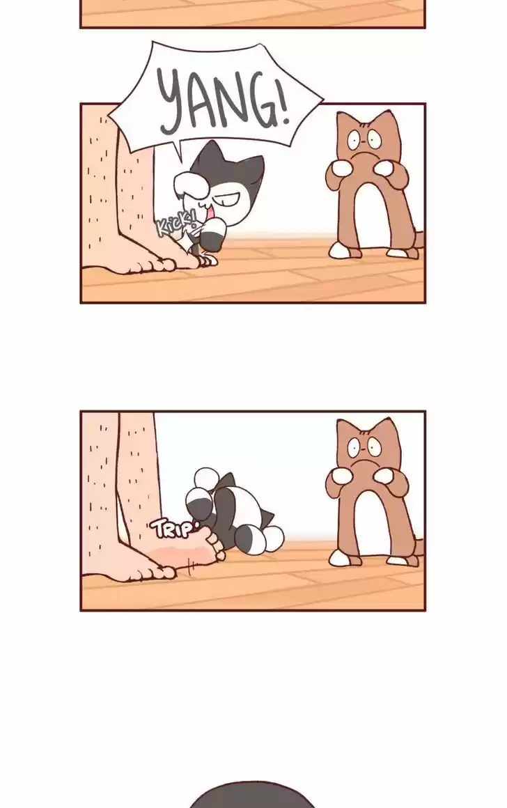 Saphie: The One-Eyed Cat 93