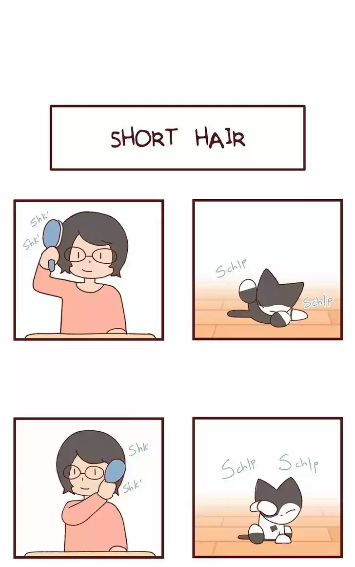 Saphie: The One-Eyed Cat 94