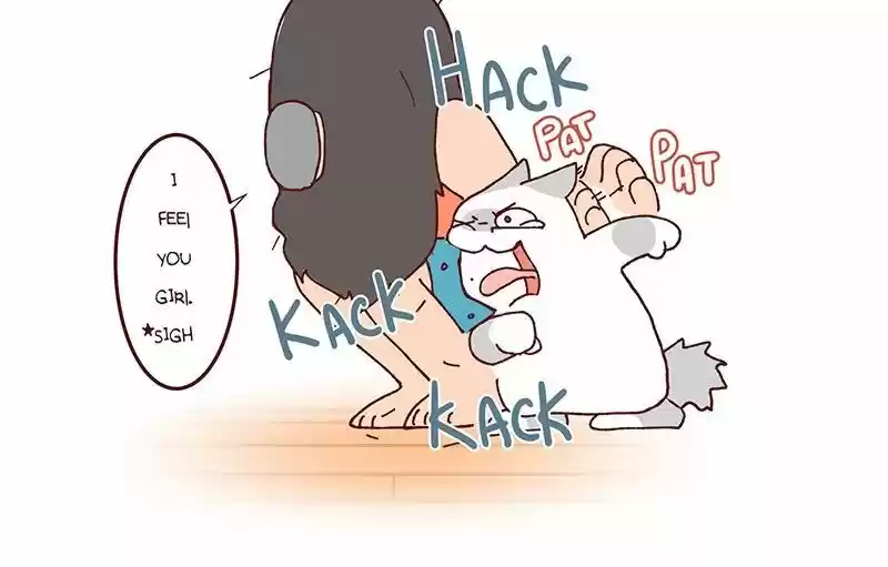 Saphie: The One-Eyed Cat 94