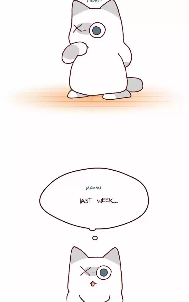 Saphie: The One-Eyed Cat 95