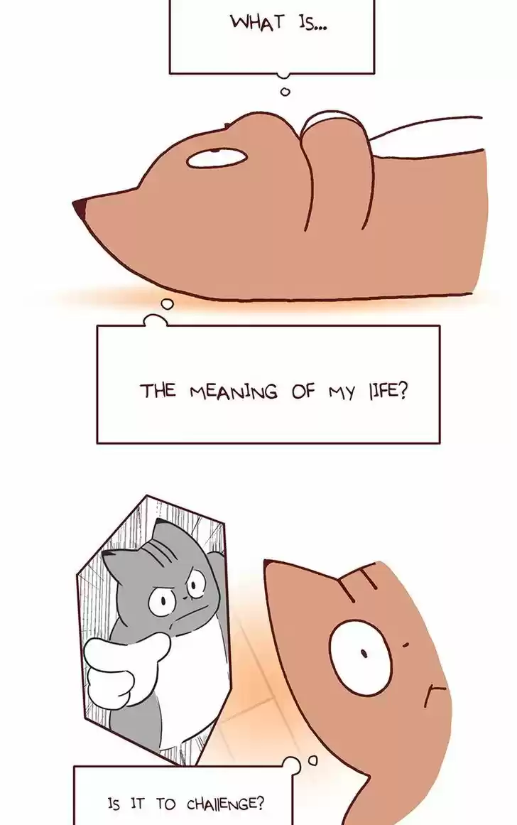 Saphie: The One-Eyed Cat 96