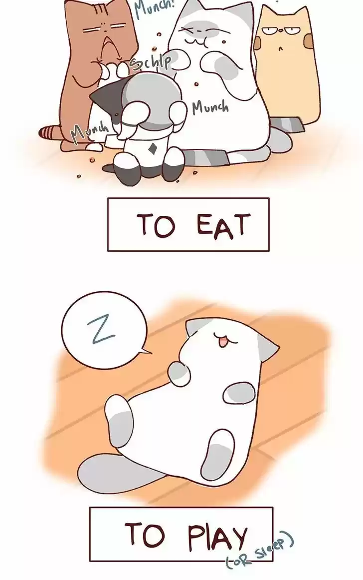 Saphie: The One-Eyed Cat 96