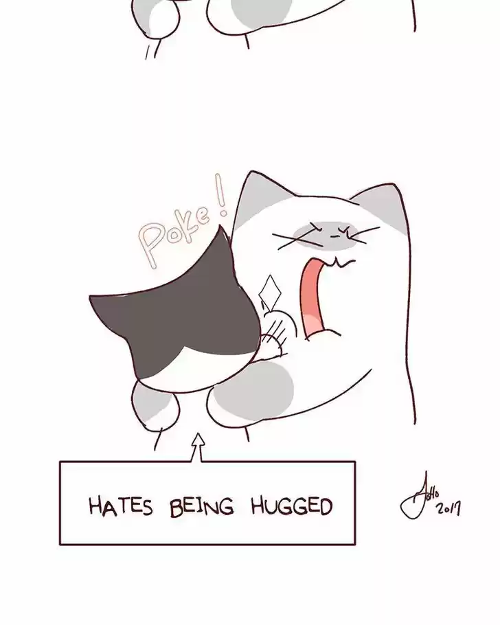 Saphie: The One-Eyed Cat 96