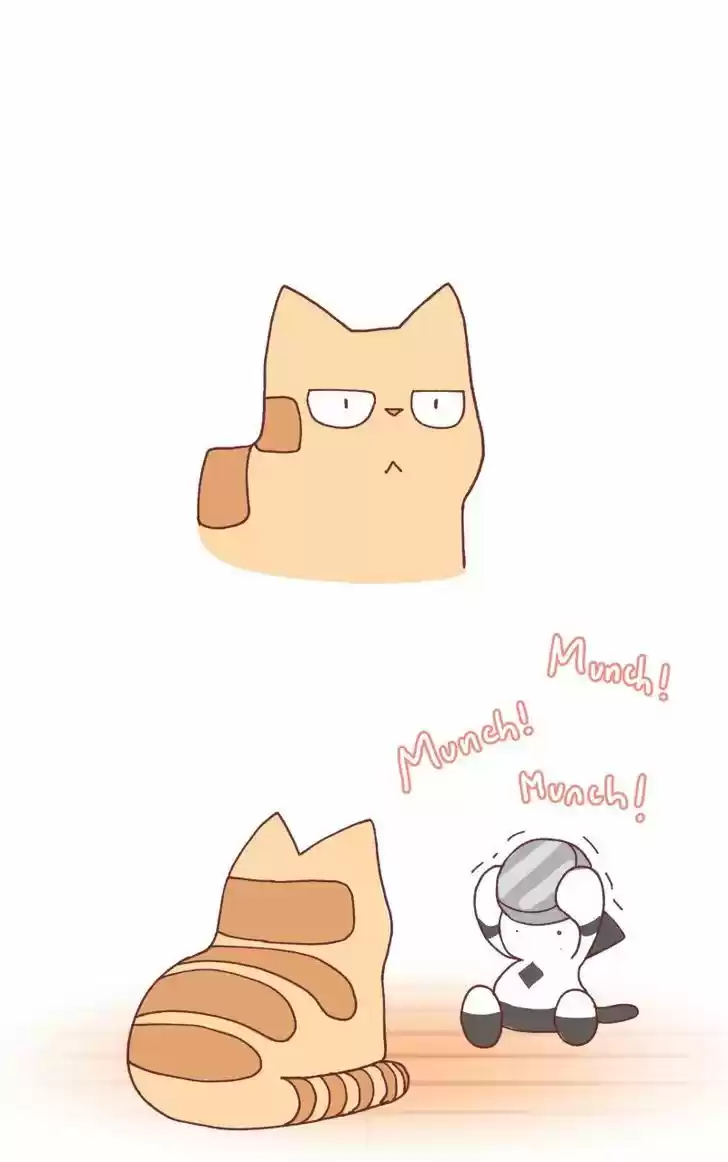 Saphie: The One-Eyed Cat 97