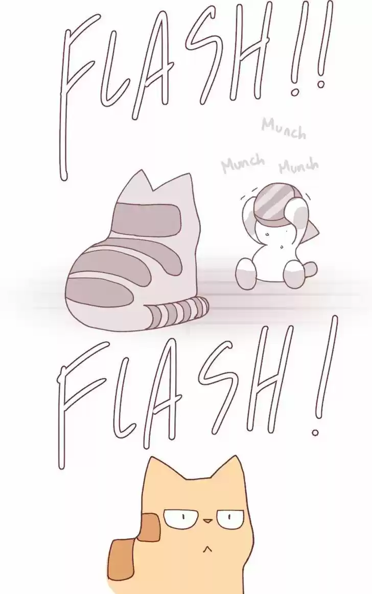 Saphie: The One-Eyed Cat 97