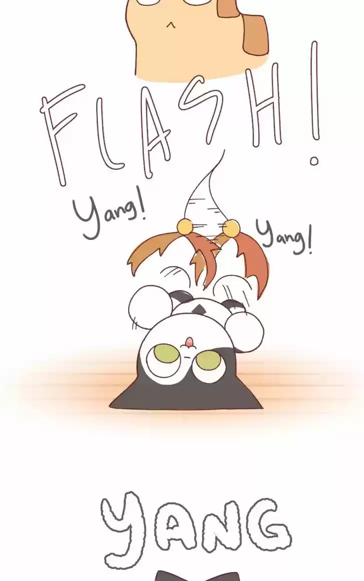 Saphie: The One-Eyed Cat 97