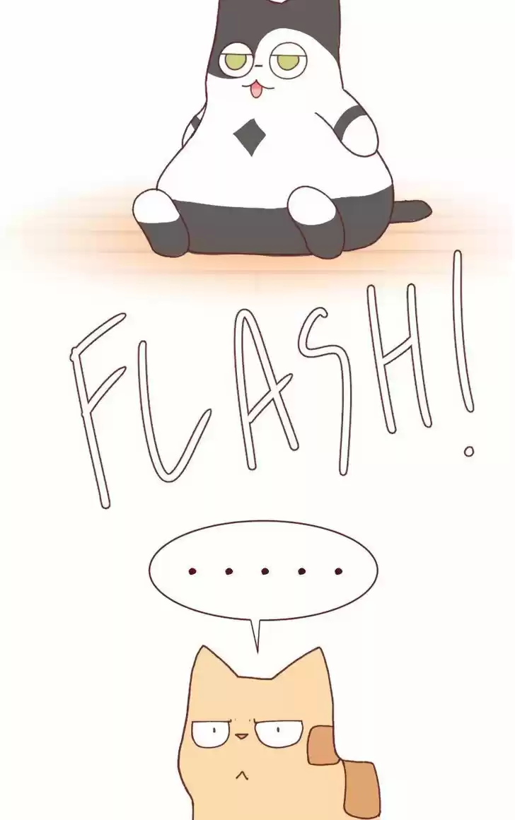 Saphie: The One-Eyed Cat 97