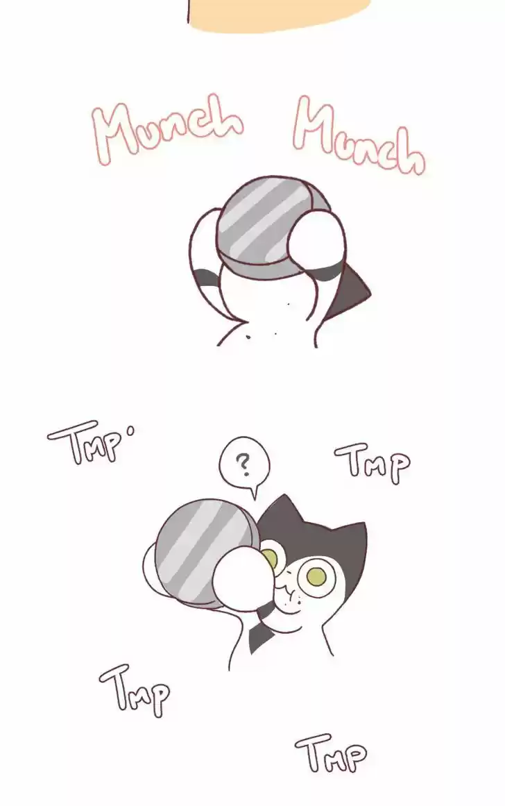 Saphie: The One-Eyed Cat 97