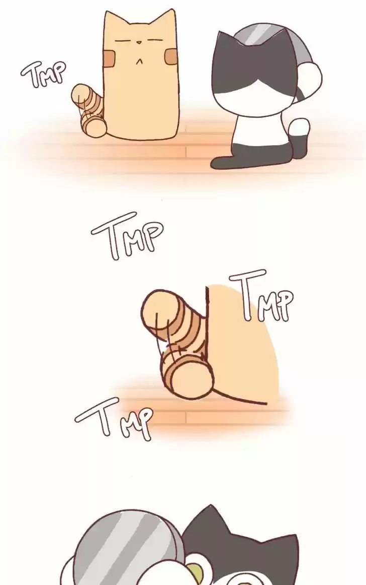 Saphie: The One-Eyed Cat 97