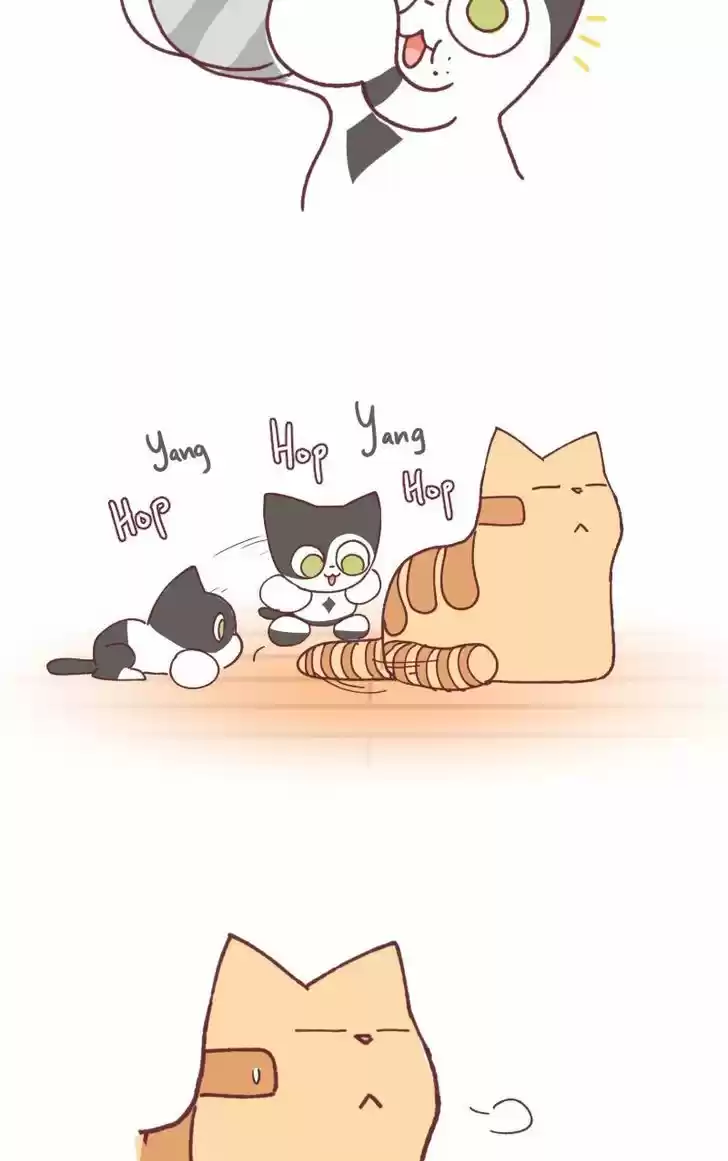 Saphie: The One-Eyed Cat 97