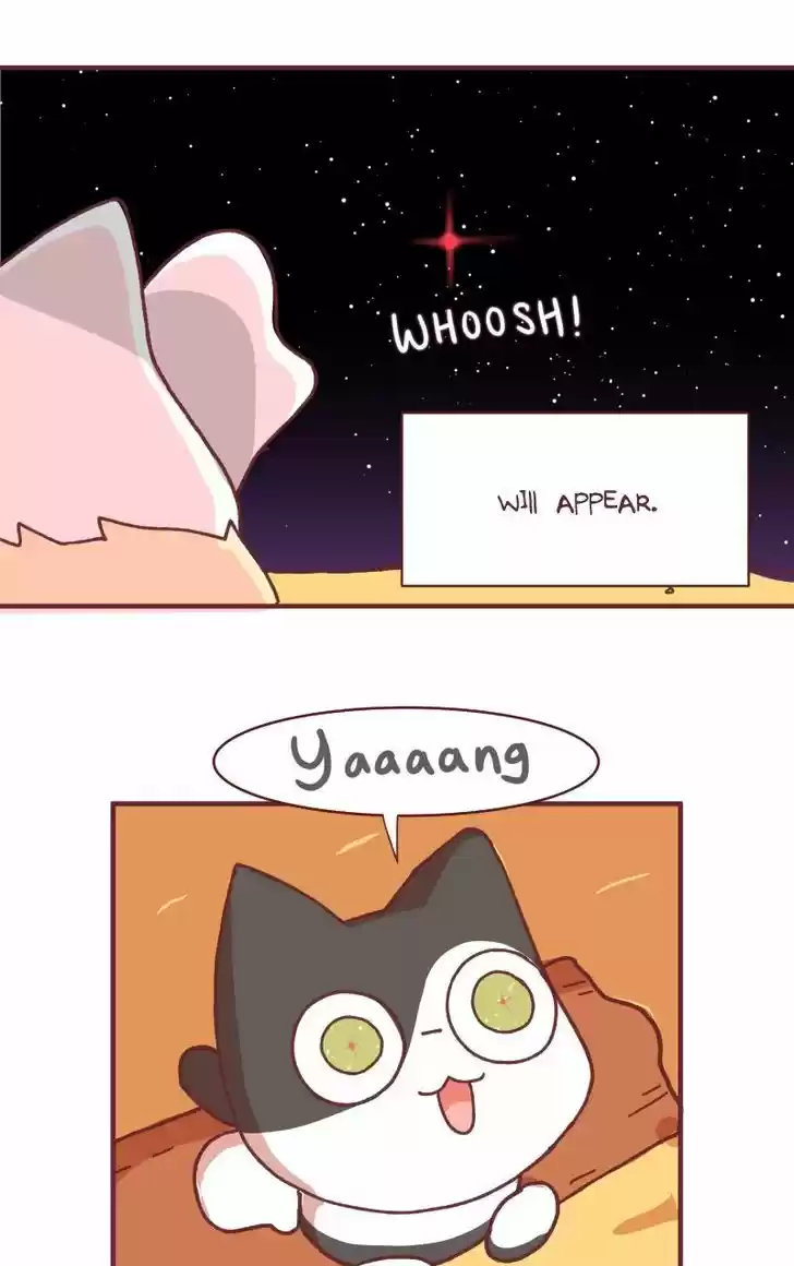 Saphie: The One-Eyed Cat 98