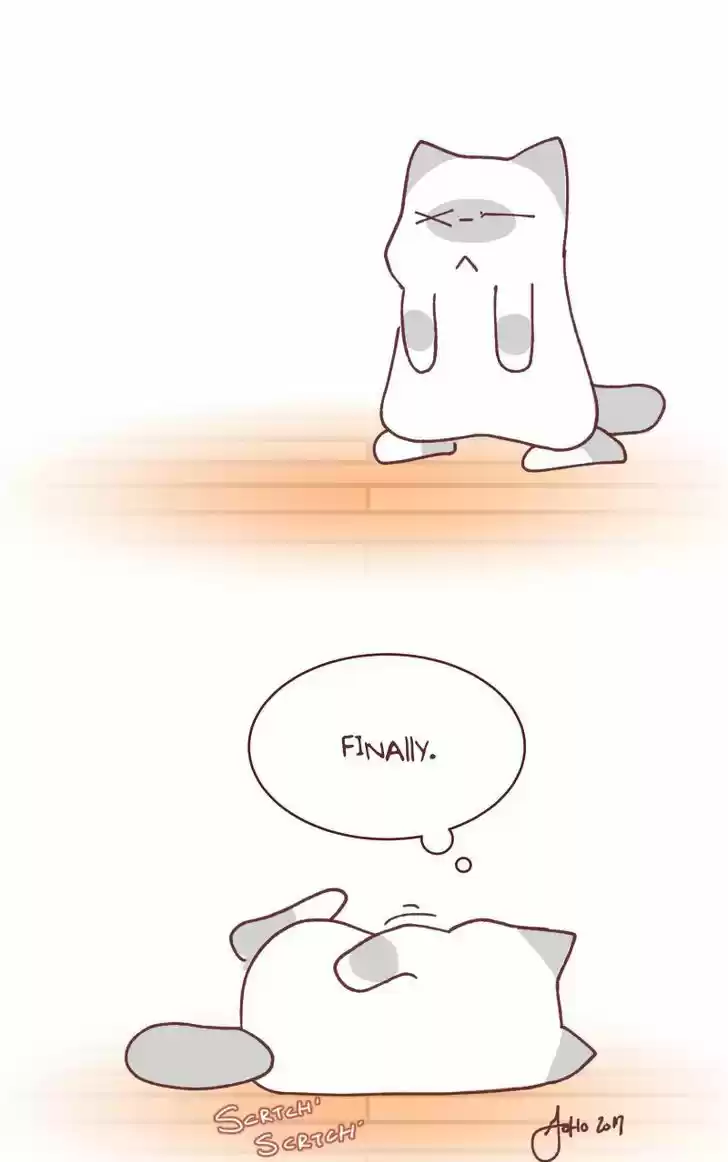 Saphie: The One-Eyed Cat 98