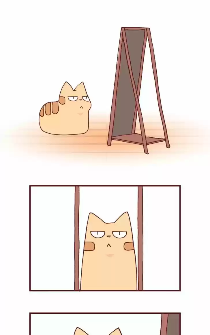 Saphie: The One-Eyed Cat 99