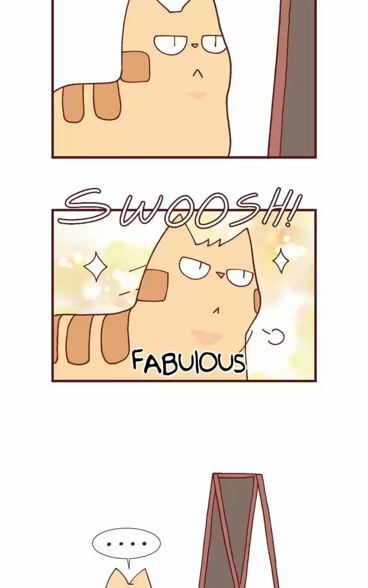 Saphie: The One-Eyed Cat 99