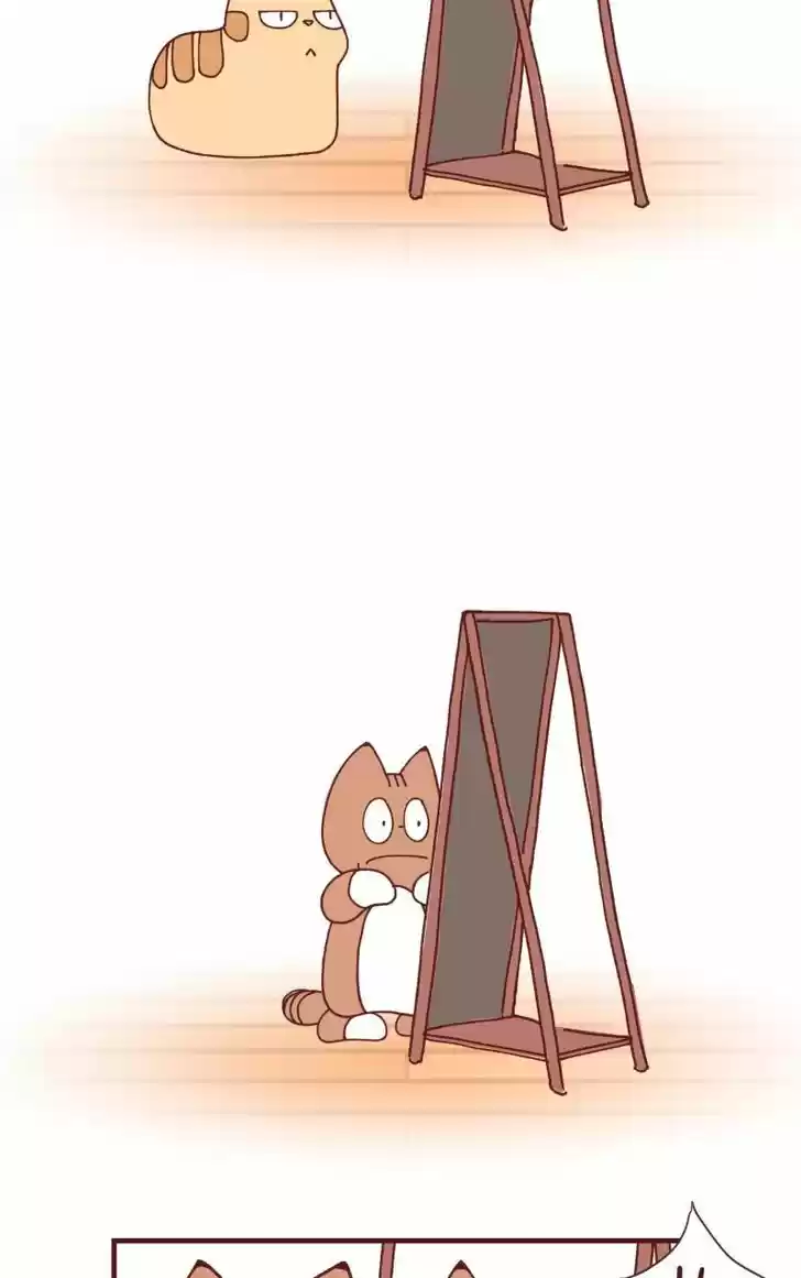 Saphie: The One-Eyed Cat 99