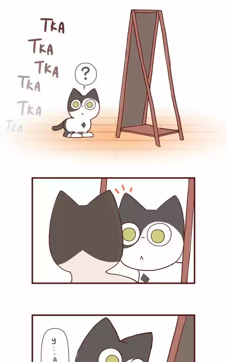 Saphie: The One-Eyed Cat 99