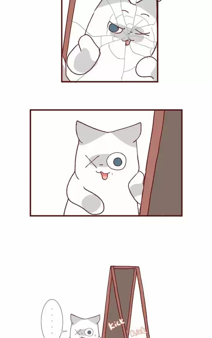 Saphie: The One-Eyed Cat 99