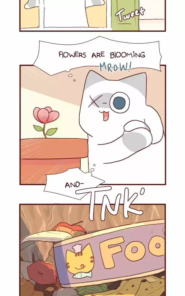 Saphie: The One-Eyed Cat ch.121