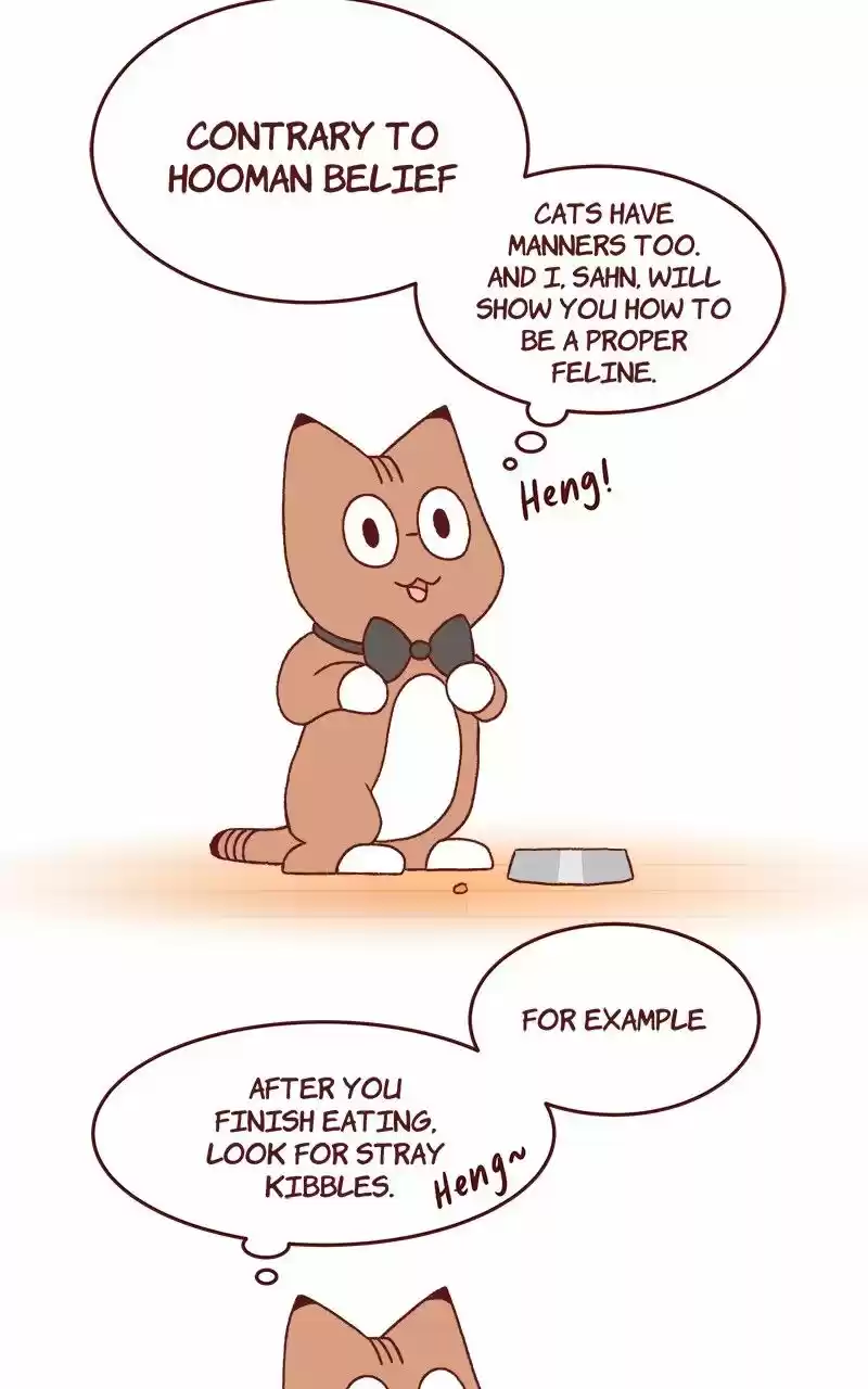 Saphie: The One-Eyed Cat ch.173