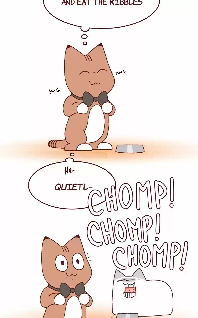 Saphie: The One-Eyed Cat ch.173