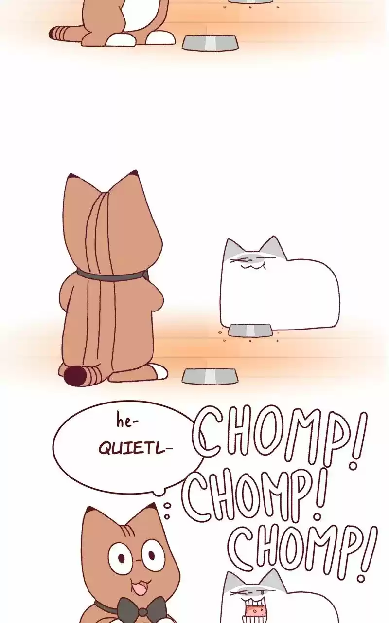 Saphie: The One-Eyed Cat ch.173