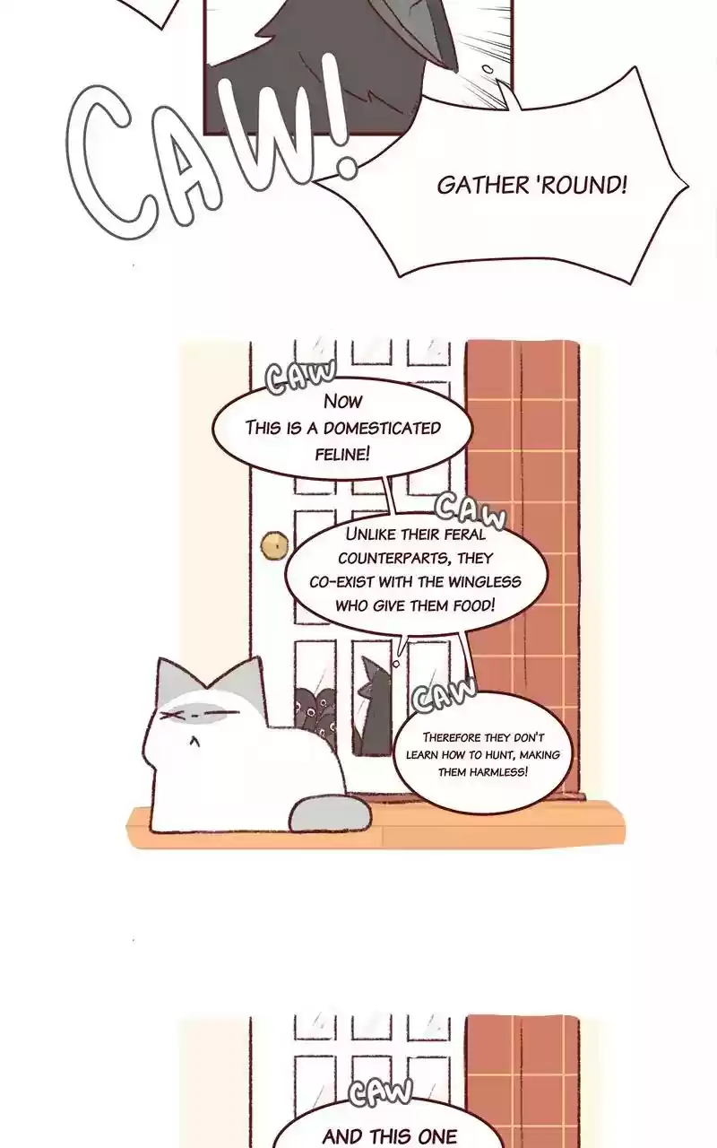 Saphie: The One-Eyed Cat Chapter 195: