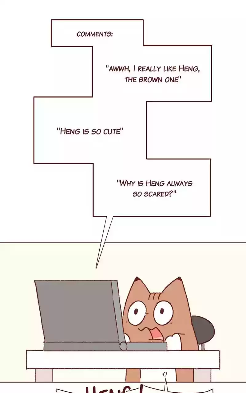 Saphie: The One-Eyed Cat Chapter 196: