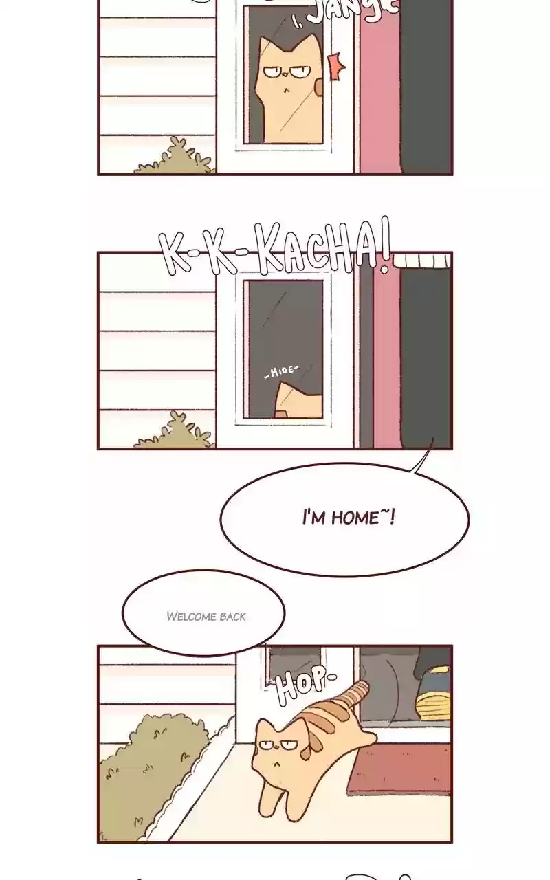 Saphie: The One-Eyed Cat Chapter 197: