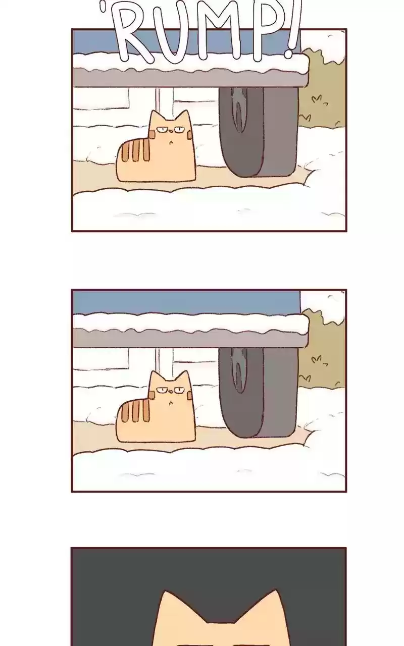 Saphie: The One-Eyed Cat Chapter 197: